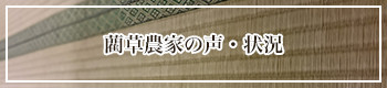 藺草農家の声・状況